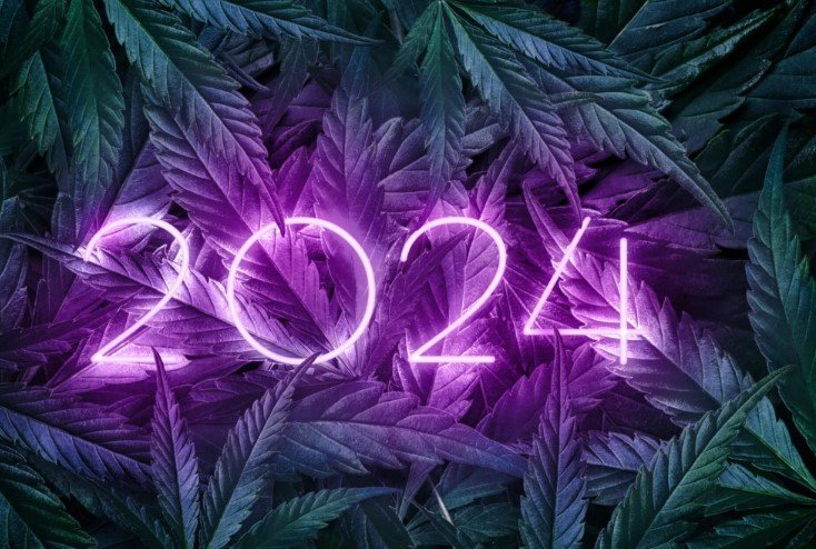 National Cannabis
