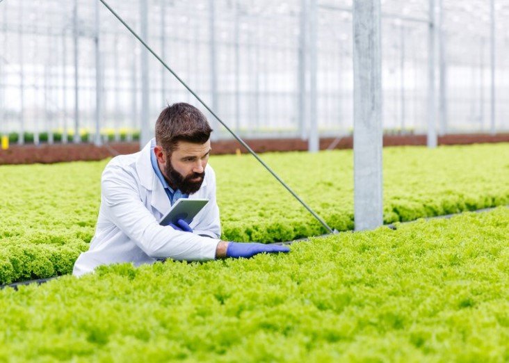 Agriculture