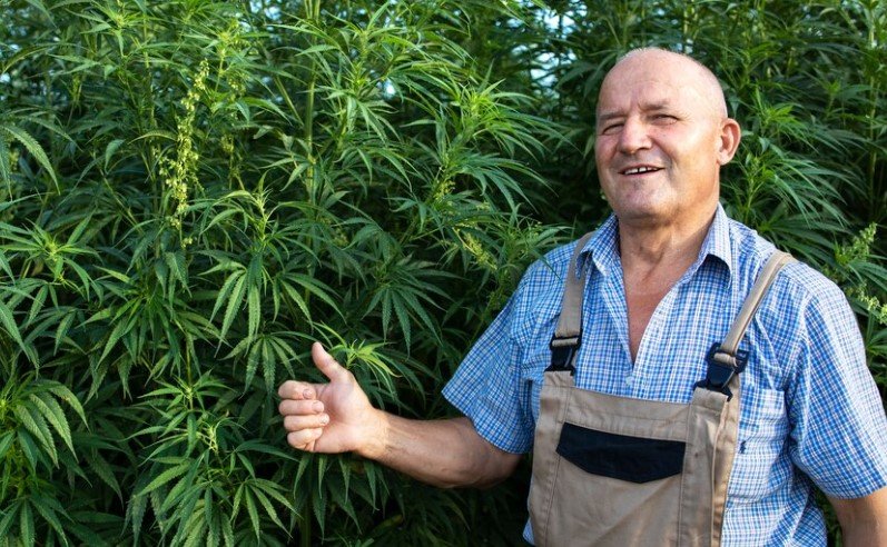 Cannabis Cultivators