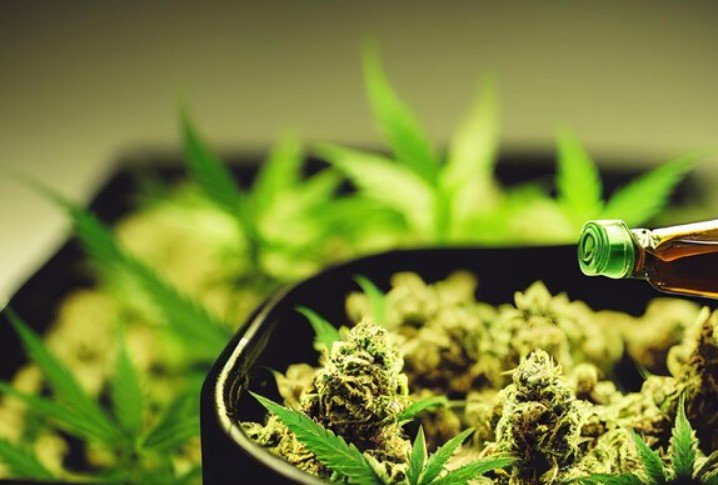 Low-THC Cannabis
