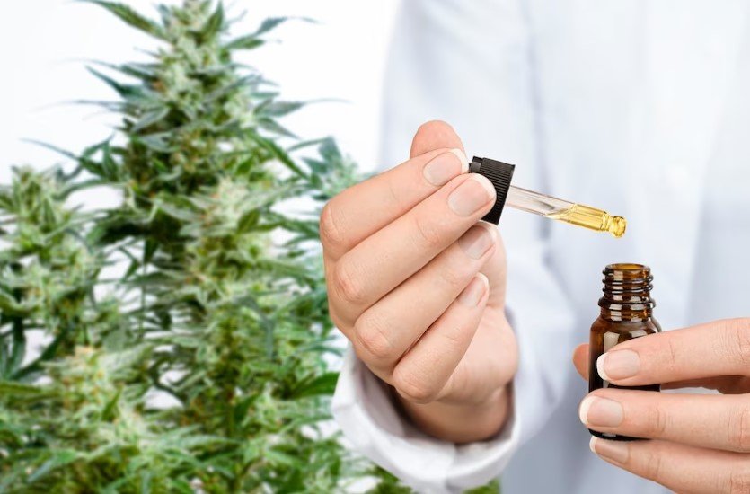 medical cannabis 