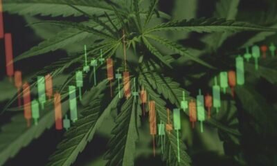 Canadian Cannabis Operator Entourage Agrees to Go Private in Pension Fund-Backed Deal
