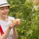 New York Marijuana Social Equity Chief Heads to Maryland for Leadership Role