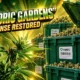 Cedric Gardens Oklahoma license suspension lifted by judge