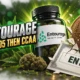 Entourage Health going private LiUNA C$0.005 CCAA