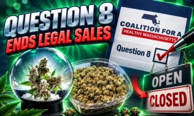 Massachusetts Question 8 recreational marijuana repeal vote