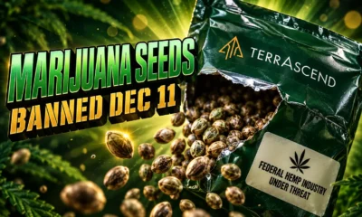 marijuana seeds hemp ban parent plant total THC