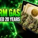 Aurora Farm Gas plant breeders rights locked 20 years