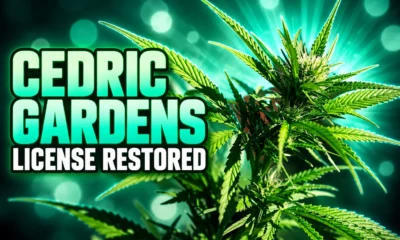 Cedric Gardens license restored after OMMA shutdown
