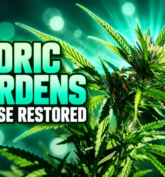 Cedric Gardens license restored after OMMA shutdown