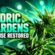 Cedric Gardens license restored after OMMA shutdown