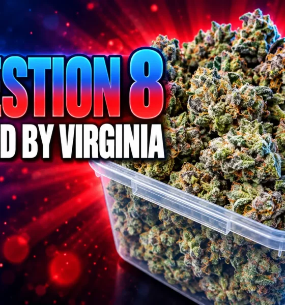 Virginia SAM Action funds Massachusetts Question 8 ballot