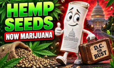 Trump hemp ban recasts marijuana seeds as marijuana