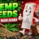 Trump hemp ban recasts marijuana seeds as marijuana