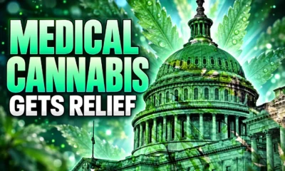 medical cannabis 280E tax deductions 2026