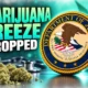Congress dropped marijuana freeze from 2026 spending bill